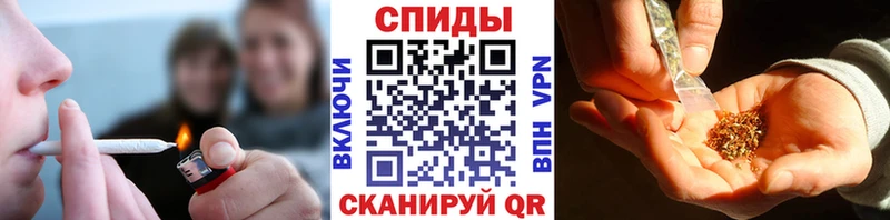 Бутират буратино  Купить  Северская 