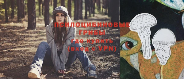 соль ск Заволжье